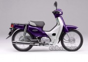 cub.com.vn-cub-82-mau-tim-2016