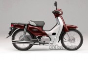 cub.com.vn-mau-man-cub-82-2016